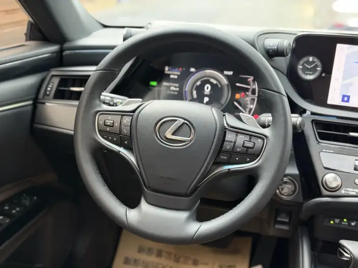 Lexus ES 2022 Model 300h Premium – фото 9