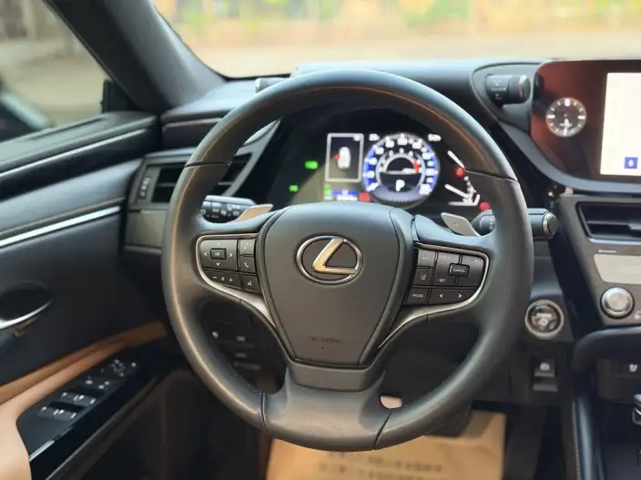 Lexus ES 2022 Model 300h Premium – фото 10