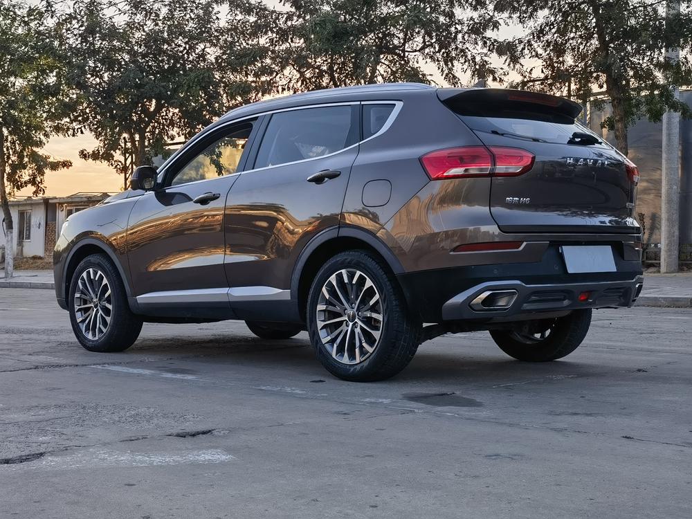 Haval H6 2020 1.5GDIT Automatic Platinum Champion – фото 4