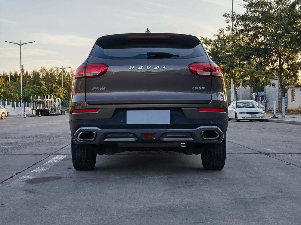 Haval H6 2020 1.5GDIT Automatic Platinum Champion – фото 5