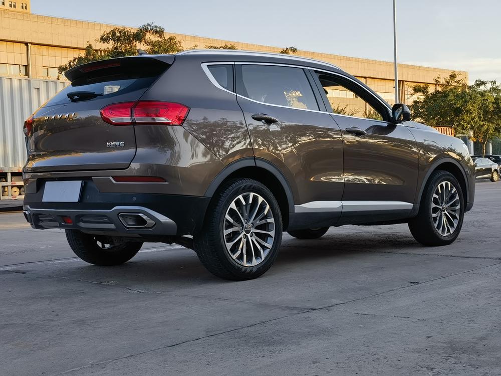 Haval H6 2020 1.5GDIT Automatic Platinum Champion – фото 6