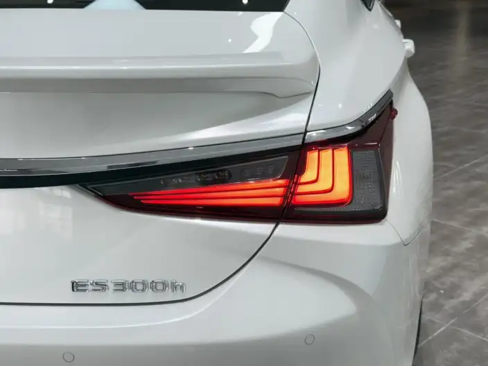 Lexus ES 2022 Model 300h Premium – фото 9