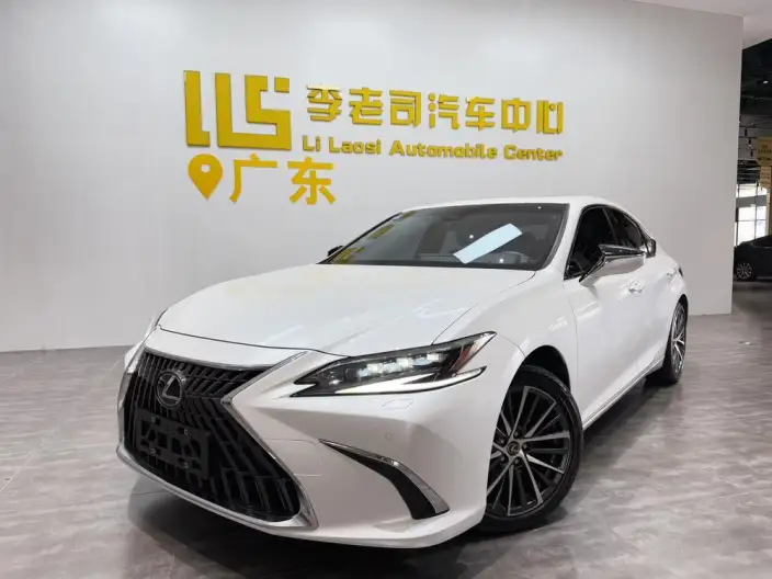 Lexus ES 2022 Model 300h Premium – фото 10