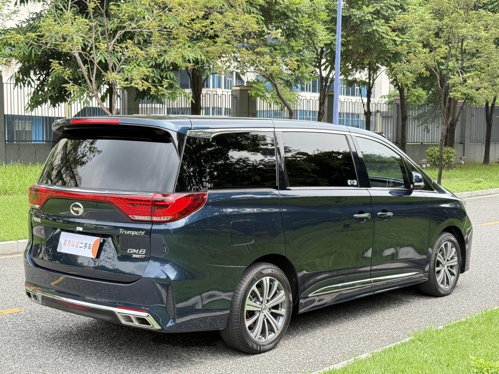 GAC Trumpchi M8 Модель 2020 года Pilot модификация 390T Supreme Edition – фото 7
