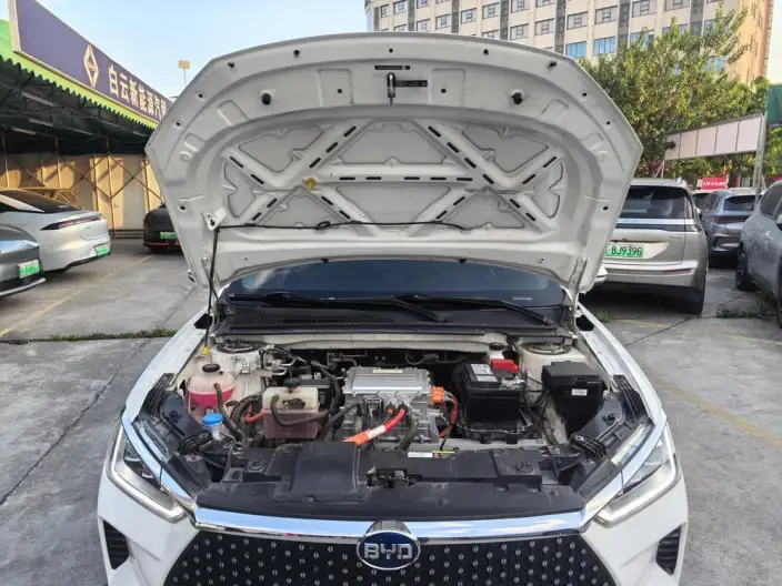 BYD E2 2021 Model Luxury Model – фото 6