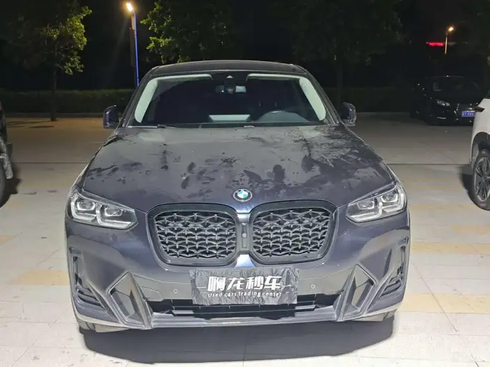 BMW X4 2022 Model xDrive 30i M Sports Set