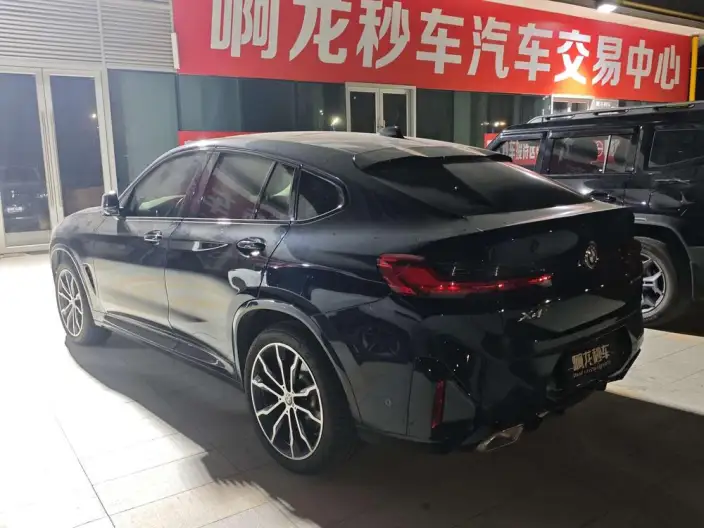 BMW X4 2022 Model xDrive 30i M Sports Set