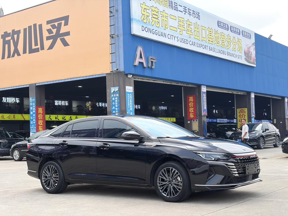 Yixuan Max 2023 1.5T Dazzling Hipster Edition – фото 3
