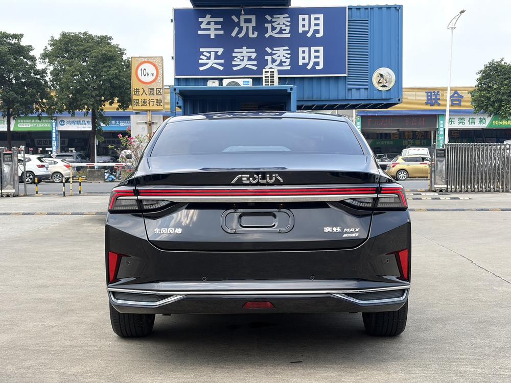 Yixuan Max 2023 1.5T Dazzling Hipster Edition – фото 6