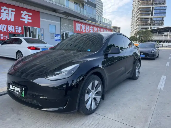 Model Y 2022 Model Rear-wheel drive version – фото 1