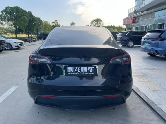 Model Y 2022 Model Rear-wheel drive version – фото 4