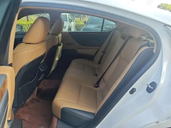 Lexus ES 2020 Model 200 Deluxe Edition China VI – фото 9