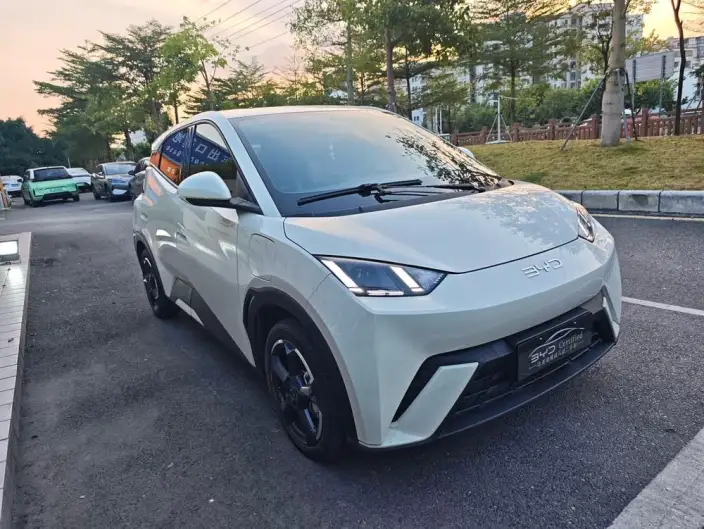 BYD Seagull 2025 Model 305KM Free Edition