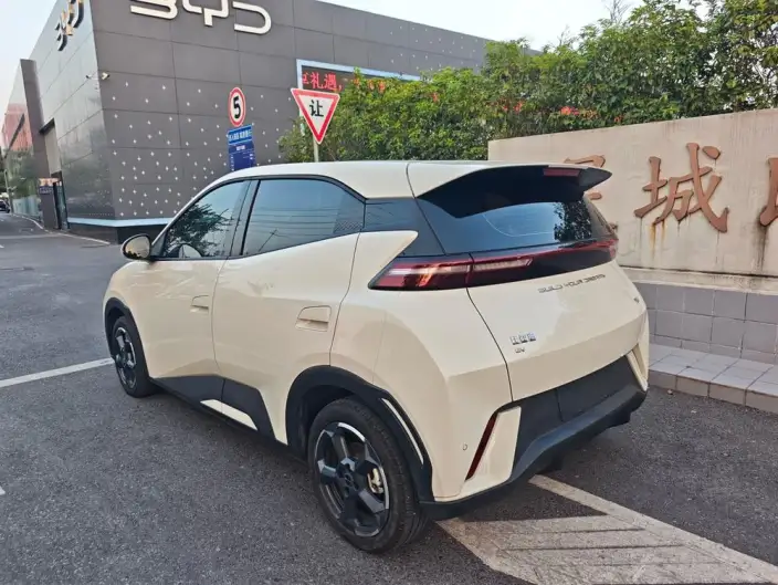 BYD Seagull 2025 Model 305KM Free Edition – фото 5