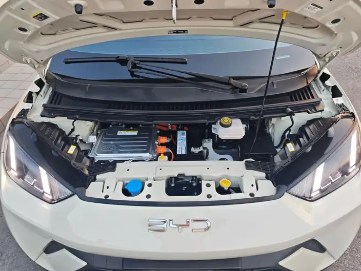 BYD Seagull 2025 Model 305KM Free Edition – фото 8