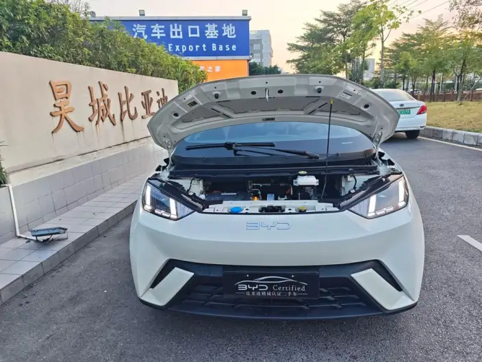 BYD Seagull 2025 Model 305KM Free Edition – фото 9