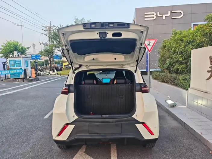 BYD Seagull 2025 Model 305KM Free Edition – фото 10