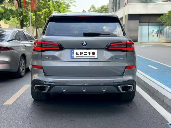 BMW X5 2022 Model Facelift xDrive 30Li M Sports Set