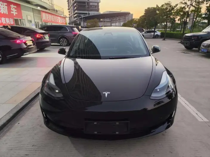 Model 3 2022 Model Rear-wheel drive version – фото 1