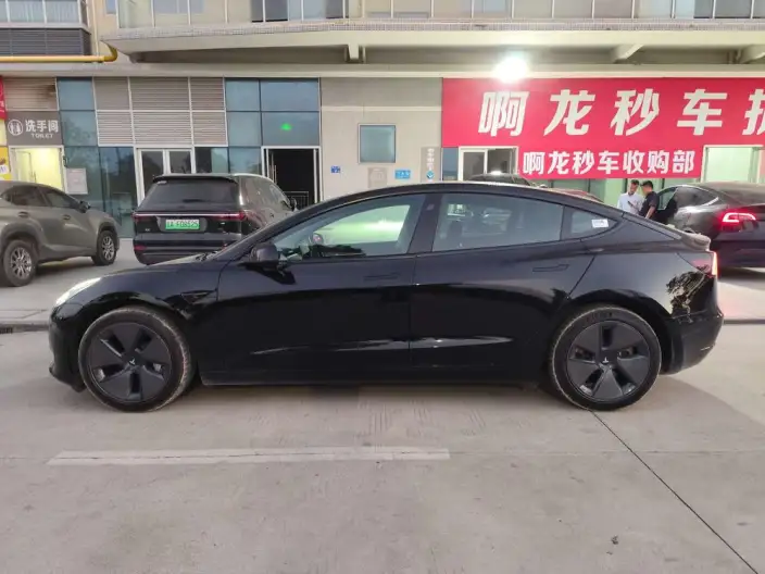 Model 3 2022 Model Rear-wheel drive version – фото 2