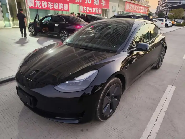 Model 3 2022 Model Rear-wheel drive version – фото 5