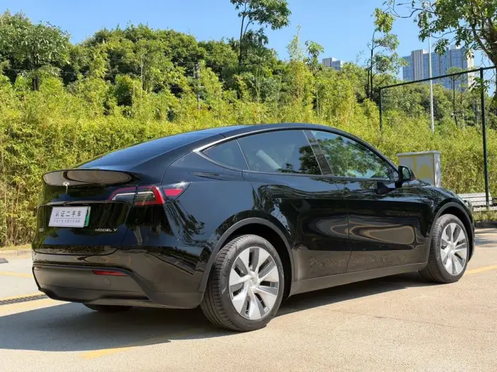 Model Y 2022 Model Facelift Rear-wheel drive version – фото 7