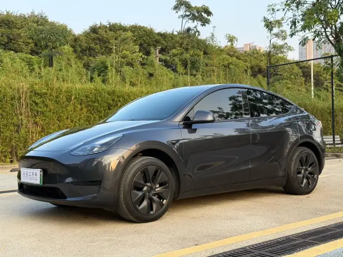 Model Y 2024 Model Rear-wheel drive version – фото 1