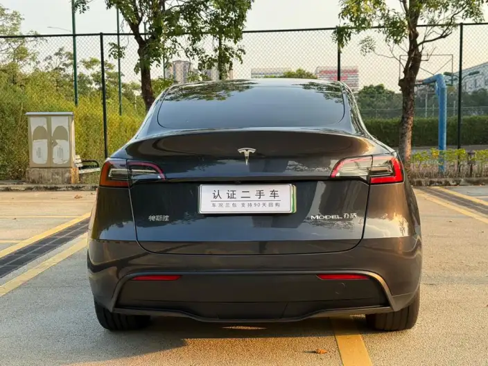 Model Y 2024 Model Rear-wheel drive version – фото 6