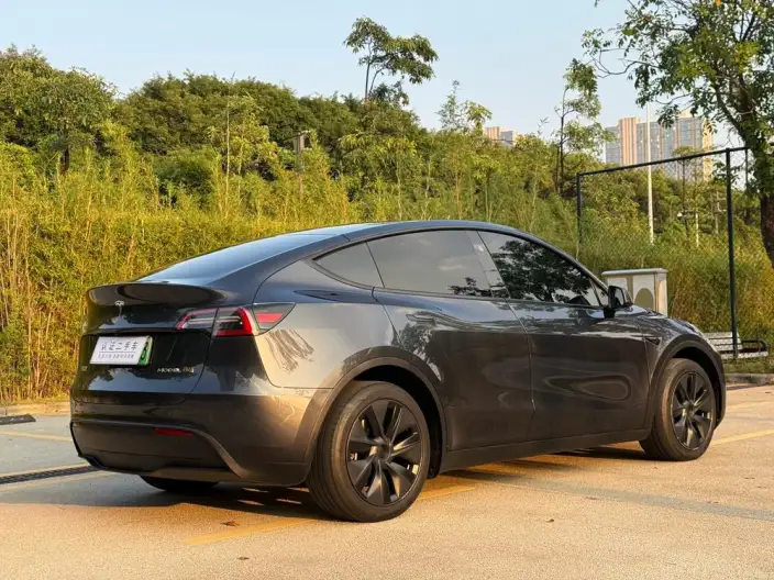 Model Y 2024 Model Rear-wheel drive version – фото 7