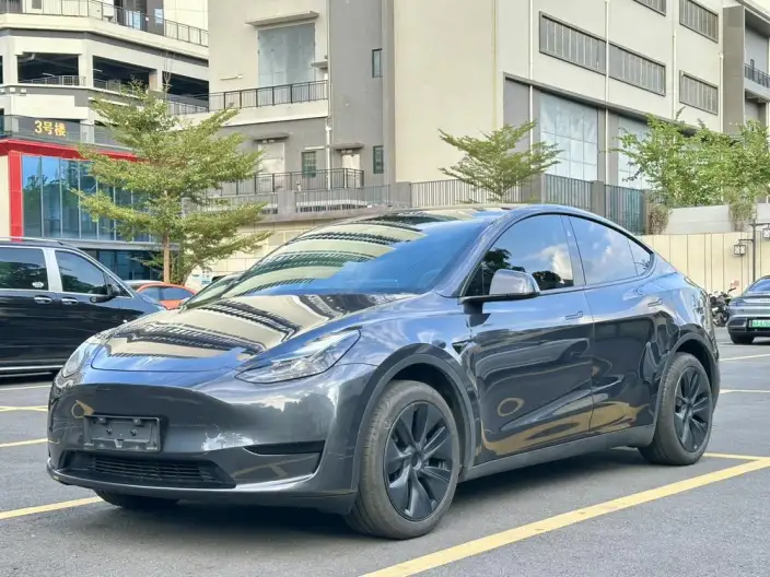 Model Y 2024 Model Rear-wheel drive version – фото 1