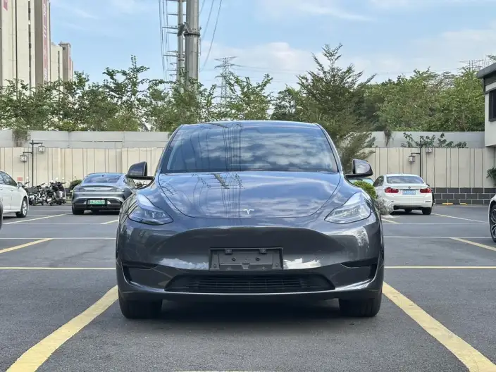 Model Y 2024 Model Rear-wheel drive version – фото 2