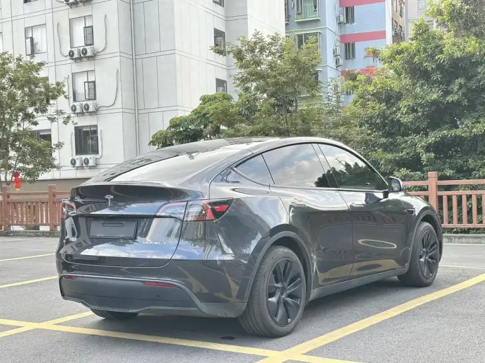 Model Y 2024 Model Rear-wheel drive version – фото 7