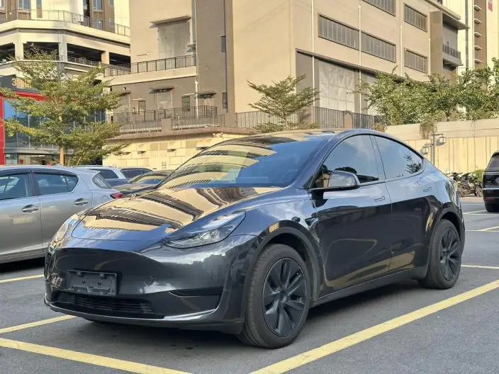 Model Y 2024 Model Rear-wheel drive version – фото 1