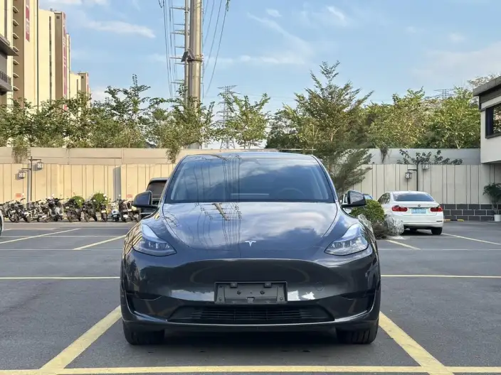 Model Y 2024 Model Rear-wheel drive version – фото 2