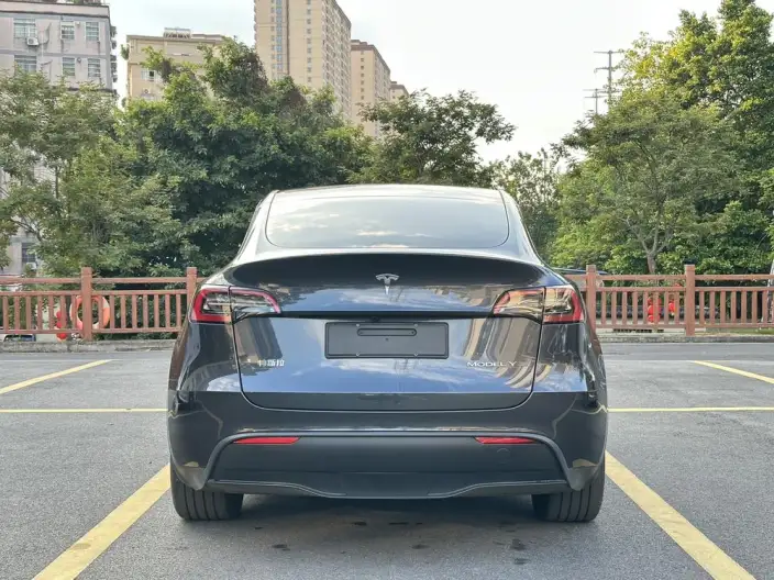 Model Y 2024 Model Rear-wheel drive version – фото 6