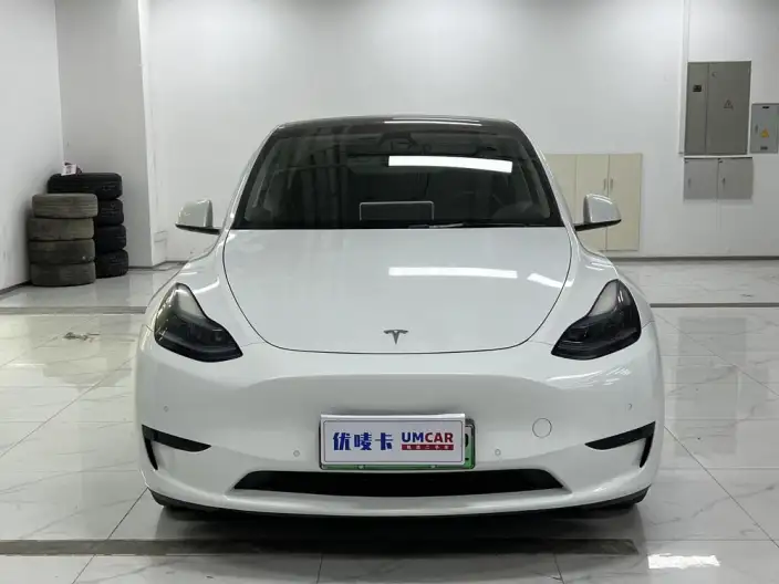 Model Y 2022 Model Facelift Rear-wheel drive version – фото 2