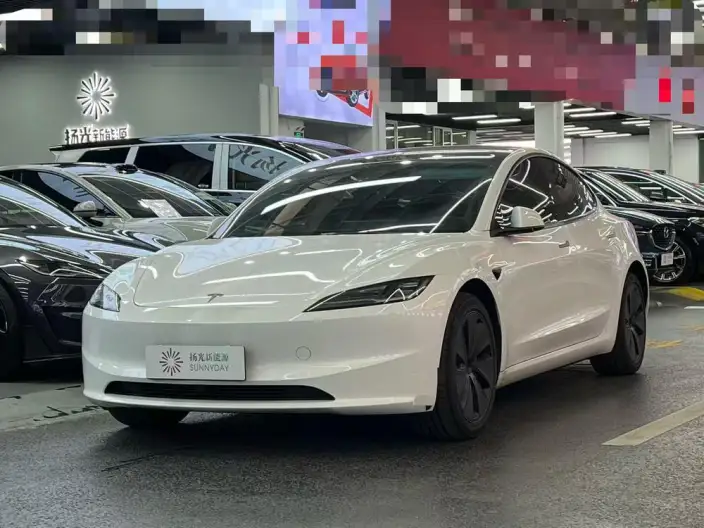 Model 3 2025 Model Facelift Rear-wheel drive version – фото 1