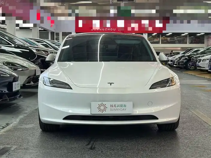Model 3 2025 Model Facelift Rear-wheel drive version – фото 2