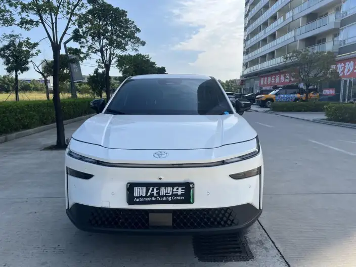 Bozhi 3X 2026 Model 520 Pro