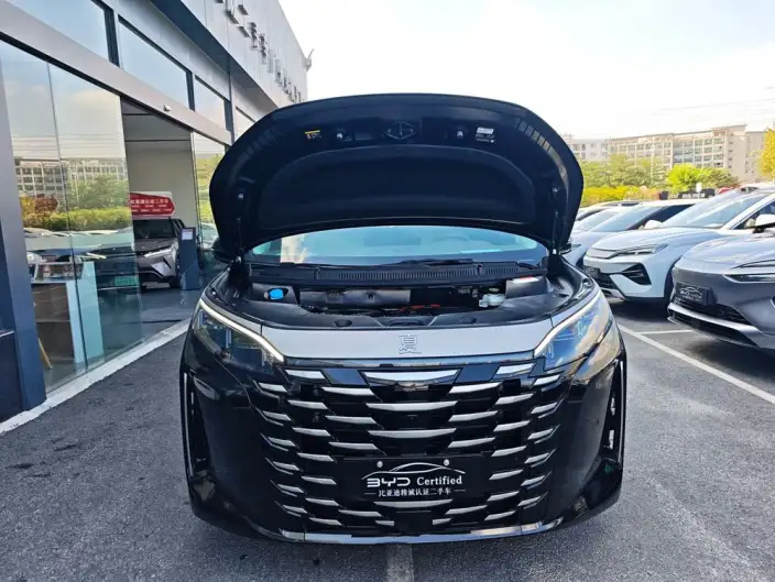 Xia 2025 Model DM-i 180KM Excellence Model – фото 6