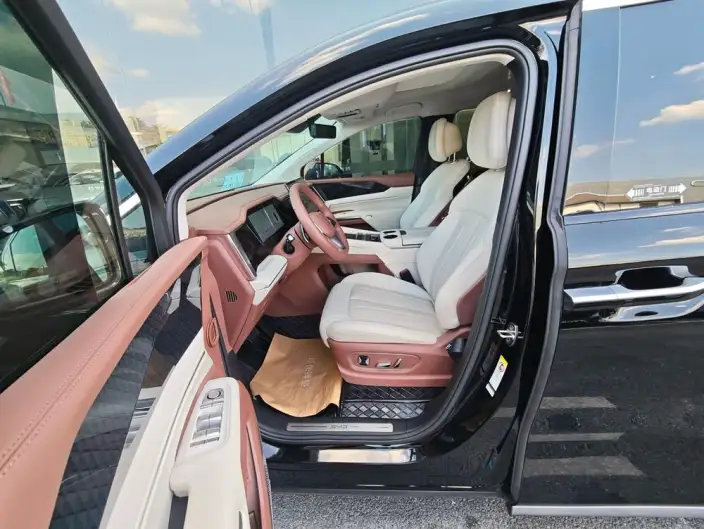 Xia 2025 Model DM-i 180KM Excellence Model – фото 8