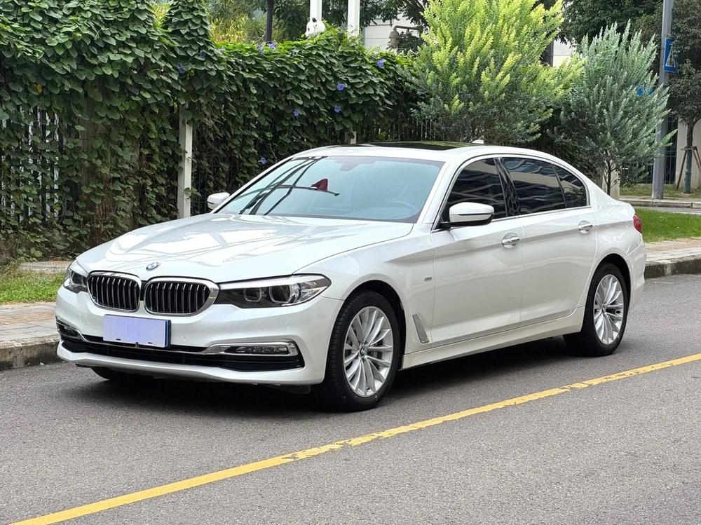 BMW 5 Series Модель 2018 года комплектация 530Li Leading Luxury Set – фото 1