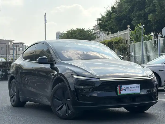 Model Y 2025 Model Facelift Long Battery Life Pro All-wheel drive version