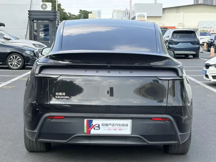Model Y 2025 Model Facelift Long Battery Life Pro All-wheel drive version – фото 5