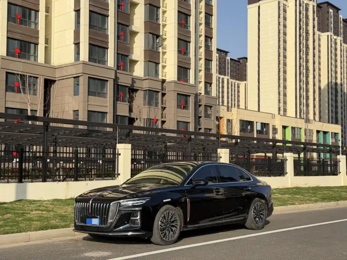 Hongqi H5 2025 Model 2.0T Automatic Flag Enjoy Edition – фото 1