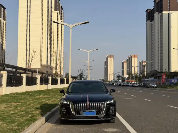 Hongqi H5 2025 Model 2.0T Automatic Flag Enjoy Edition – фото 2