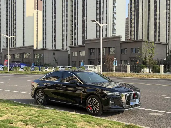 Hongqi H5 2025 Model 2.0T Automatic Flag Enjoy Edition – фото 3