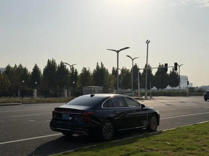 Hongqi H5 2025 Model 2.0T Automatic Flag Enjoy Edition – фото 6