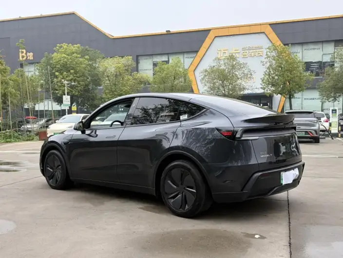 Model Y 2025 Model Rear-wheel drive version – фото 5