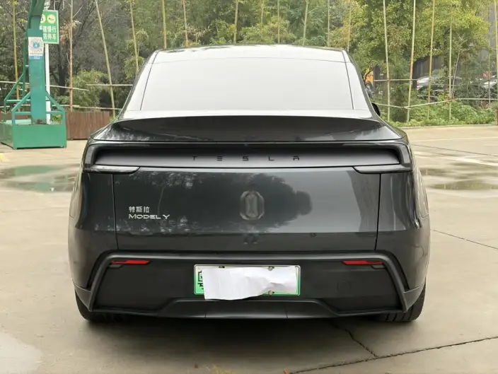 Model Y 2025 Model Rear-wheel drive version – фото 6